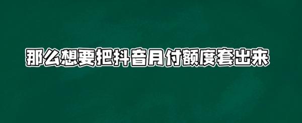 便捷消费新选择便捷消费新选择！教你如何套出抖音月付！-第2张图片-无双博客