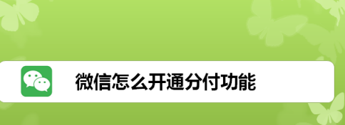 引爆收款速度！掌握微信分付提现技巧，收款瞬间到账-第2张图片-无双博客