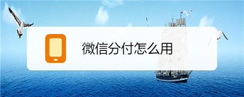 限时优惠！微信分付提现全流程公开-第2张图片-无双博客