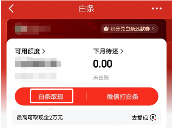 想要方便取现？今天来教你如何操作京东白条额度取现-第4张图片-无双博客