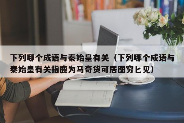 下列哪个成语与秦始皇有关（下列哪个成语与秦始皇有关指鹿为马奇货可居图穷匕见）-第1张图片-无双博客