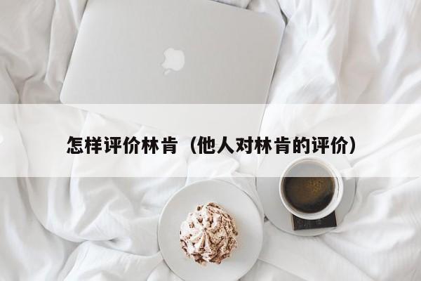 怎样评价林肯（他人对林肯的评价）-第1张图片-无双博客