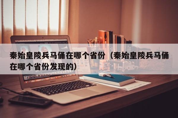 秦始皇陵兵马俑在哪个省份（秦始皇陵兵马俑在哪个省份发现的）-第1张图片-无双博客