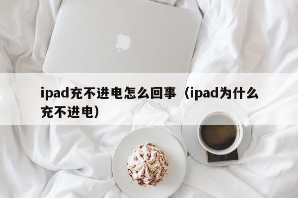 ipad充不进电怎么回事（ipad为什么充不进电）-第1张图片-无双博客