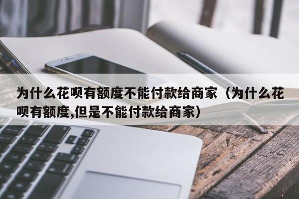 为什么花呗有额度不能付款给商家（为什么花呗有额度,但是不能付款给商家）-第1张图片-无双博客