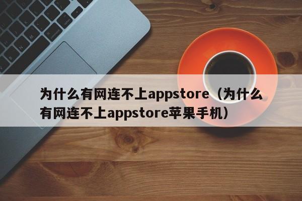 为什么有网连不上appstore（为什么有网连不上appstore苹果手机）-第1张图片-无双博客