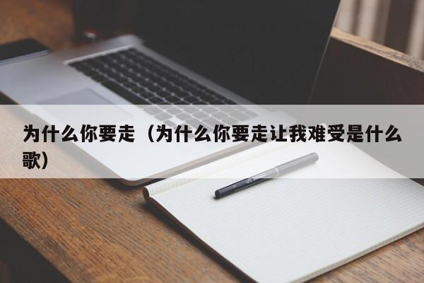 为什么你要走（为什么你要走让我难受是什么歌）-第1张图片-无双博客