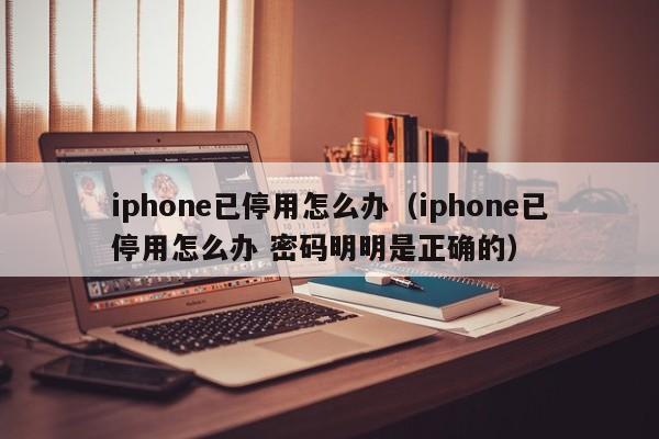 iphone已停用怎么办（iphone已停用怎么办 密码明明是正确的）-第1张图片-无双博客