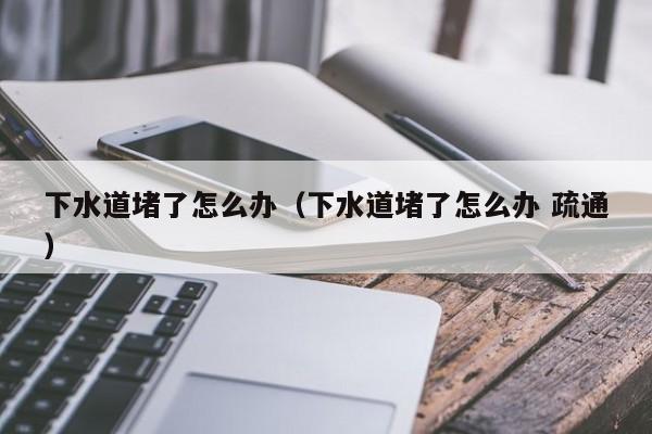 下水道堵了怎么办（下水道堵了怎么办 疏通）-第1张图片-无双博客