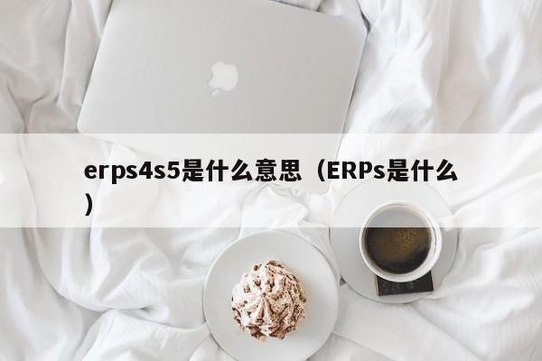 erps4s5是什么意思（ERPs是什么）-第1张图片-无双博客