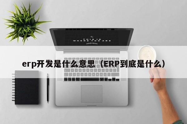 erp开发是什么意思（ERP到底是什么）-第1张图片-无双博客