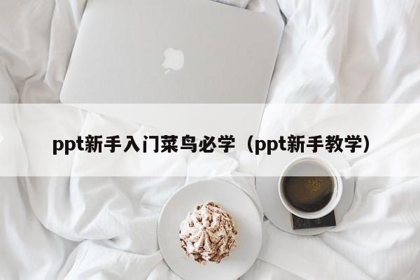 ppt新手入门菜鸟必学（ppt新手教学）-第1张图片-无双博客