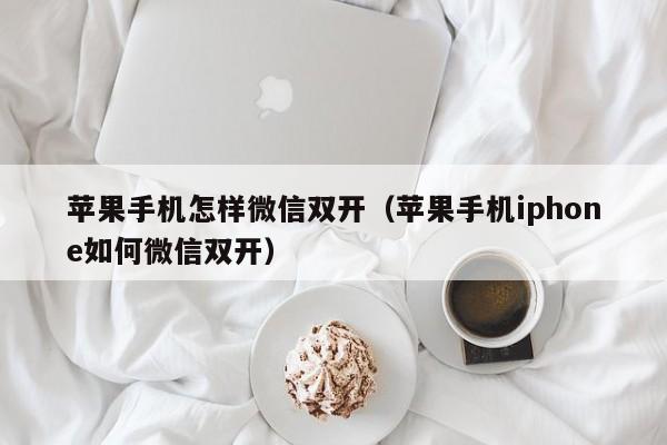 苹果手机怎样微信双开（苹果手机iphone如何微信双开）-第1张图片-无双博客