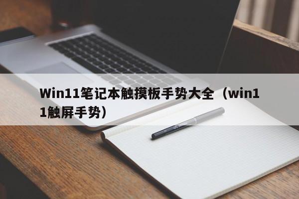 Win11笔记本触摸板手势大全（win11触屏手势）-第1张图片-无双博客