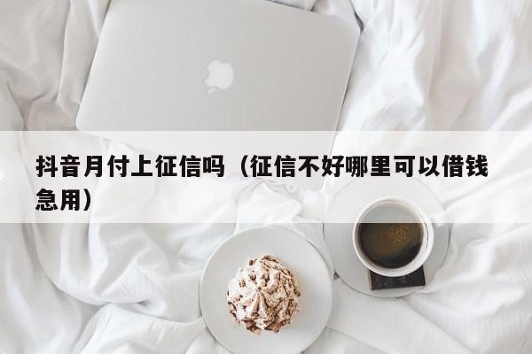 抖音月付上征信吗（征信不好哪里可以借钱 急用）-第1张图片-无双博客