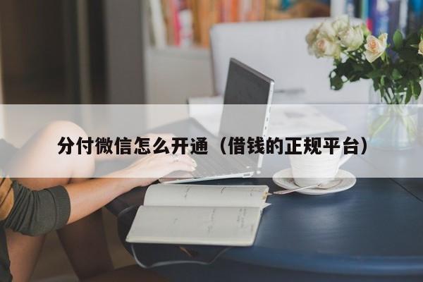 分付微信怎么开通（借钱的正规平台）-第1张图片-无双博客