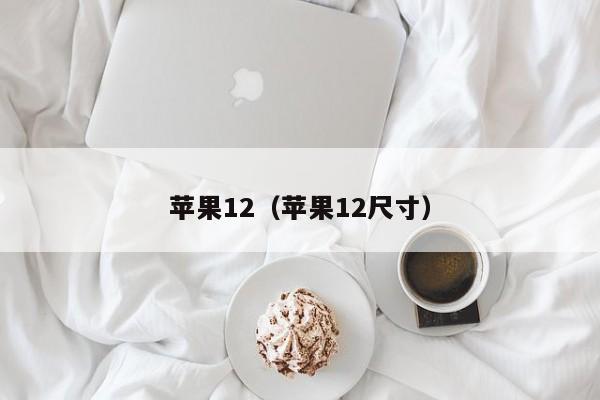 苹果12（苹果12尺寸）-第1张图片-无双博客