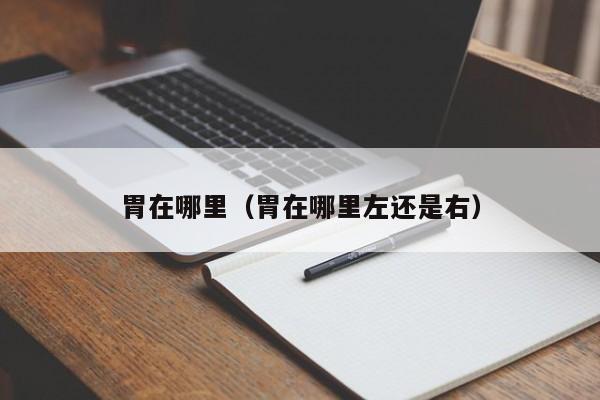 胃在哪里（胃在哪里左还是右）-第1张图片-无双博客