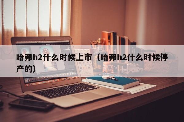 哈弗h2什么时候上市（哈弗h2什么时候停产的）-第1张图片-无双博客