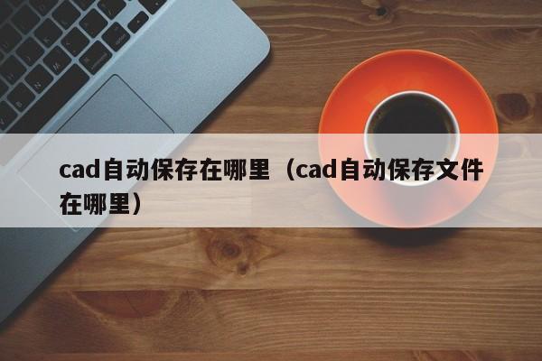 cad自动保存在哪里（cad自动保存文件在哪里）-第1张图片-无双博客