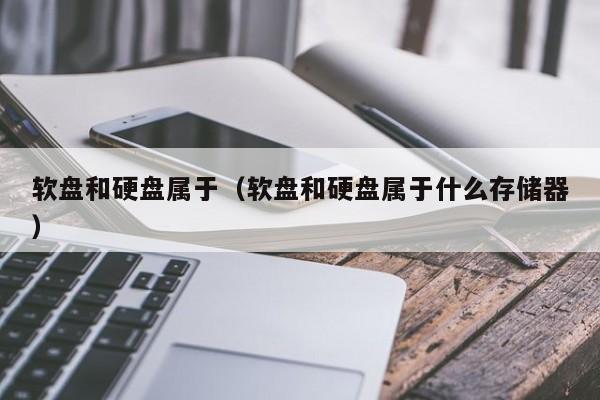 软盘和硬盘属于（软盘和硬盘属于什么存储器）-第1张图片-无双博客