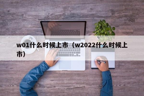 w01什么时候上市（w2022什么时候上市）-第1张图片-无双博客