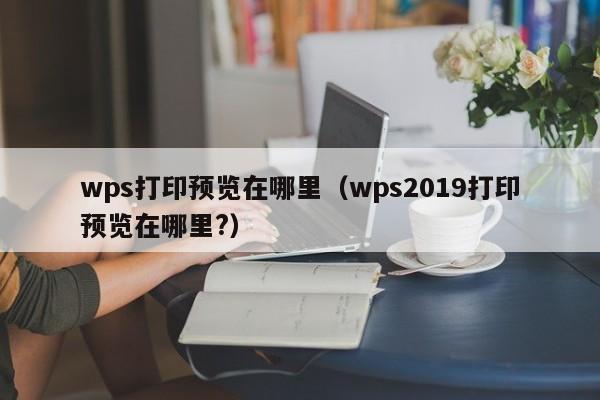 wps打印预览在哪里（wps2019打印预览在哪里?）-第1张图片-无双博客