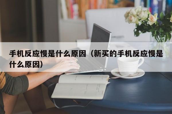 手机反应慢是什么原因（新买的手机反应慢是什么原因）-第1张图片-无双博客