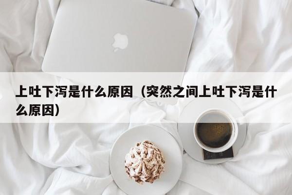 上吐下泻是什么原因（突然之间上吐下泻是什么原因）-第1张图片-无双博客