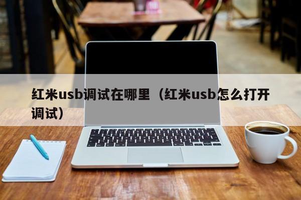 红米usb调试在哪里（红米usb怎么打开调试）-第1张图片-无双博客