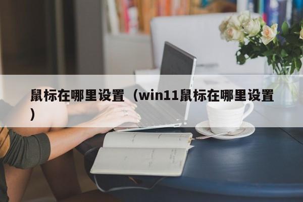 鼠标在哪里设置（win11鼠标在哪里设置）-第1张图片-无双博客