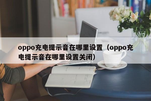 oppo充电提示音在哪里设置（oppo充电提示音在哪里设置关闭）-第1张图片-无双博客