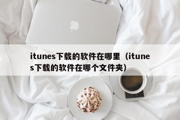 itunes下载的软件在哪里（itunes下载的软件在哪个文件夹）-第1张图片-无双博客