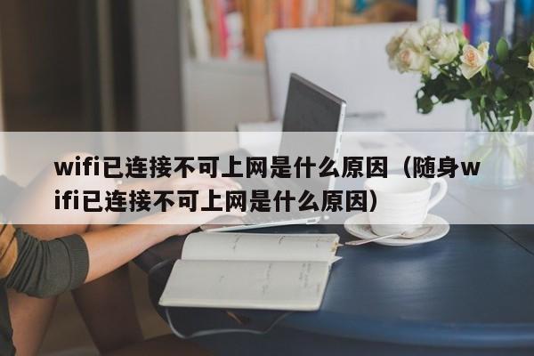 wifi已连接不可上网是什么原因（随身wifi已连接不可上网是什么原因）-第1张图片-无双博客