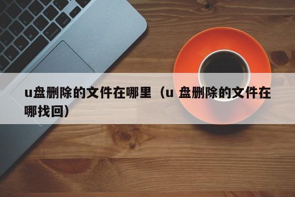 u盘删除的文件在哪里（u 盘删除的文件在哪找回）-第1张图片-无双博客