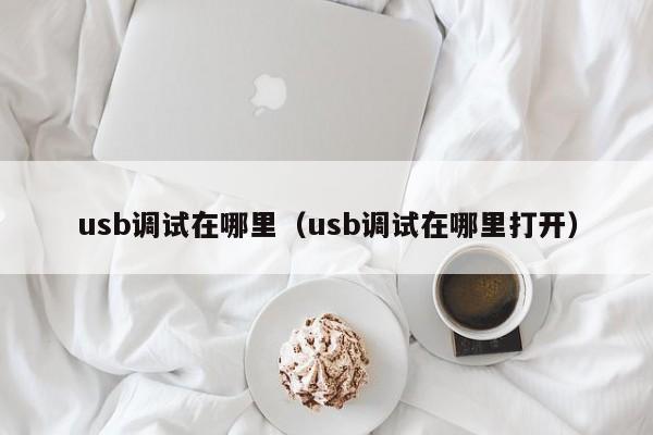 usb调试在哪里（usb调试在哪里打开）-第1张图片-无双博客