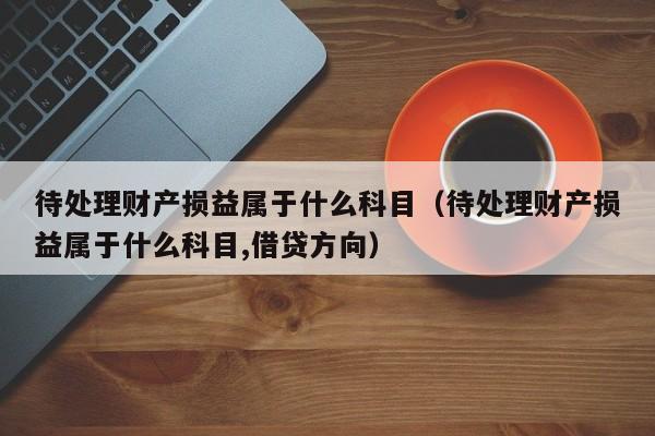 待处理财产损益属于什么科目（待处理财产损益属于什么科目,借贷方向）-第1张图片-无双博客