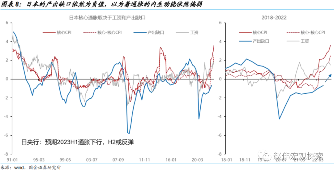 国金宏观：日央行会成为2023年的“灰犀牛”吗？-第8张图片-无双博客