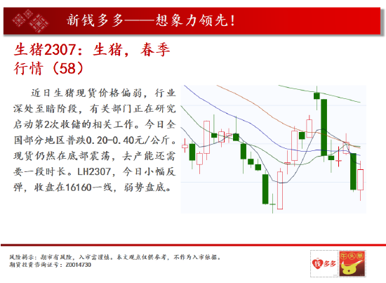 中天期货:黄金关注持续性 燃油继续狂跌-第11张图片-无双博客