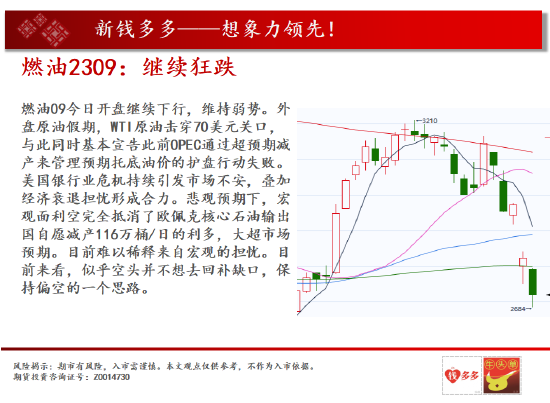 中天期货:黄金关注持续性 燃油继续狂跌-第13张图片-无双博客