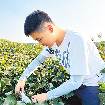 高材生：走在希望的田野上-第4张图片-无双博客