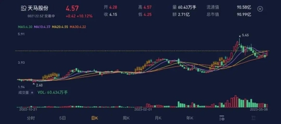 在天马股份的花园里面挖呀挖呀挖！非法占用33亿，血亏36亿：改名换面永不退市，只因对韭菜爱得深沉！-第1张图片-无双博客