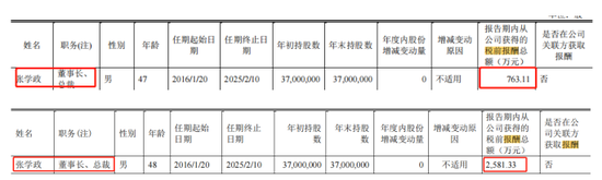 闻泰科技市值蒸发1100亿！董事长张学政2580万薪酬逆势上涨238%-第1张图片-无双博客