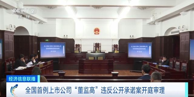 意义深远！全国首例上市公司“董监高”违反公开承诺案开庭审理-第1张图片-无双博客