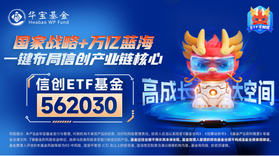 算力！还是算力！中科曙光涨超5%，信创ETF基金（562030）盘中暴拉3%，机构：算力国产化或是科技自强主线！-第5张图片-无双博客