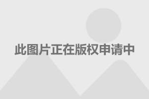 信用卡怎么套现()-第1张图片-无双博客