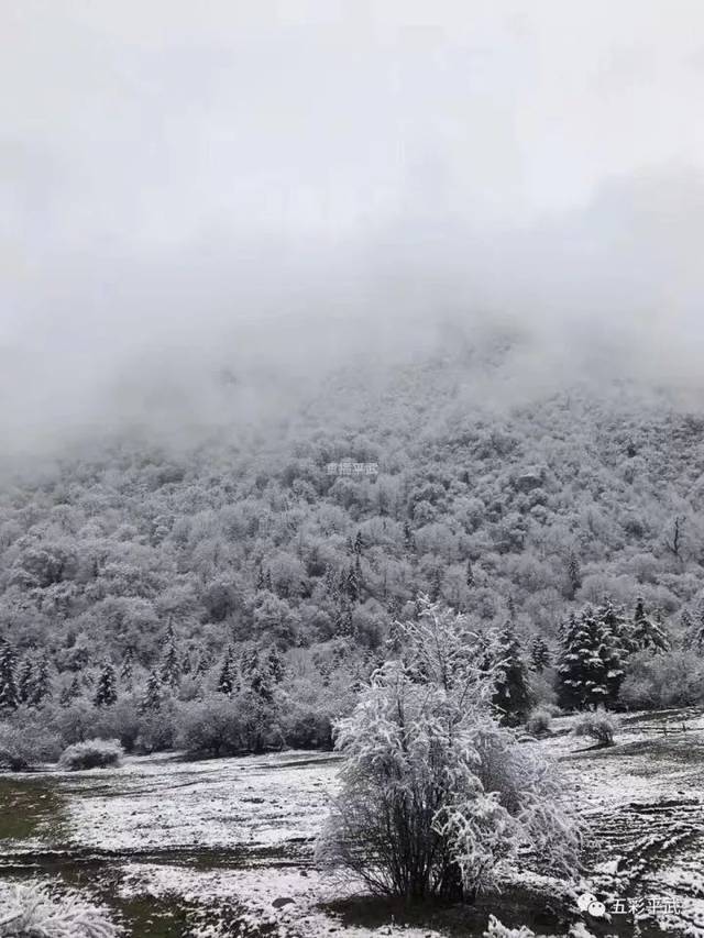 世界上下雪最多的地方(世界下雪最多的国家)-第2张图片-无双博客