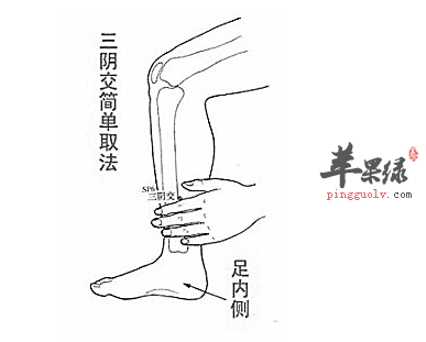 三阴交在哪里(三阴焦位置图和作用足三里)-第1张图片-无双博客