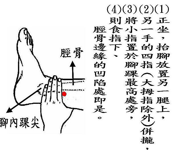 三阴交在哪里(三阴焦位置图和作用足三里)-第2张图片-无双博客