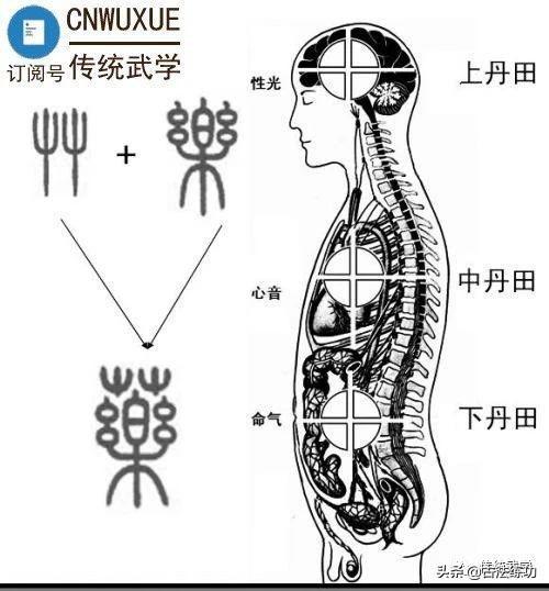 丹田在哪里(修仙的丹田在哪里)-第2张图片-无双博客